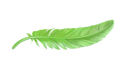 Green feather 3D render icon isolated on white background