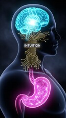 Conceptual Illustration of Intuition and Brain Gut Feeling Neuroscience Human Anatomy. Concept featuring intuition, brain, gut feeling, neuroscience, human anatomy.