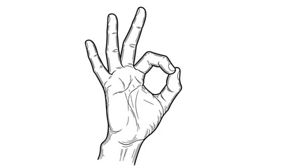 Fototapeta premium Detailed black and white line art illustration of a human hand making the 'OK' or 'perfect' gesture, isolated on a white background.