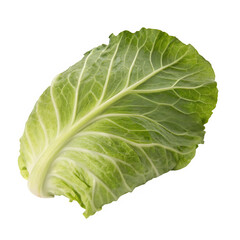 Cabbage leaf isolated on transparent background