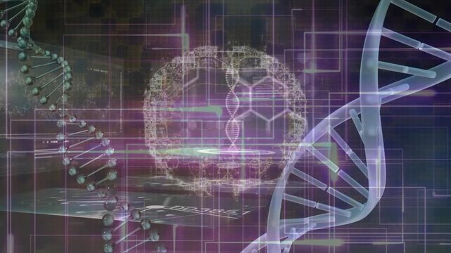 The process of data being processed by dna strands