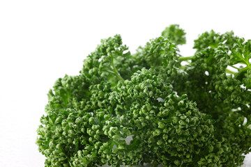 パセリ　白バック