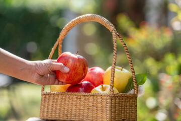 Hand pick up apple from a wicker basket filled with fresh red and green apples outdoors in natural sunlight, symbolizing harvest, organic fruit, healthy eating, and farm to table lifestyle.