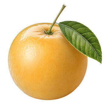 single abiu fruit isolated on transparent background PNG