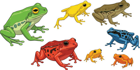 Fototapeta premium Colorful collection of frogs including green tree frogs, poison dart frogs, and various bright amphibians in different poses