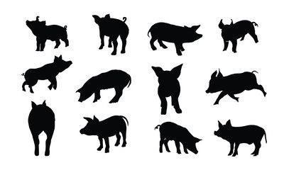 Pig Silhouette Vector Set for Farm and Meat Industry