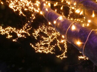 太田市粕川町「町民の森公園」の木のイルミ2