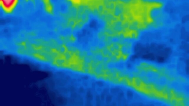 The Playing Monkey. Image from thermal imager device.