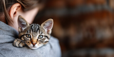 small kitten on the shoulder of a young woman adopting a pet from a shelter, a copy of the article about animal care