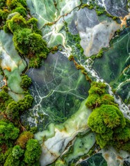 Close-up of Lush Green Moss Growing on a Veined Marble Surface.