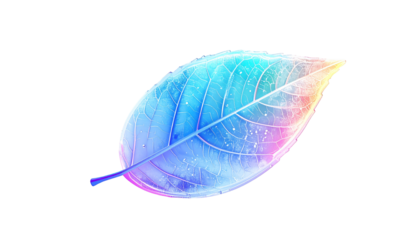 A vibrant leaf displays veins, rendered in rainbow hues, against black