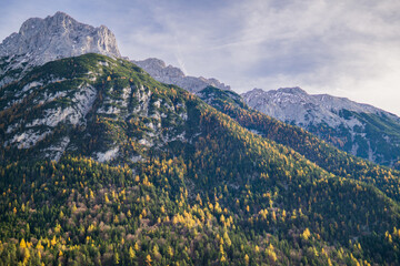 Alpine mountain slope covered with dense forest and rocky peaks.