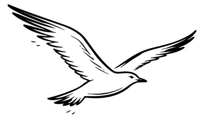 Obraz premium Hand drawn line art illustration of a bird depicting flight for design elements