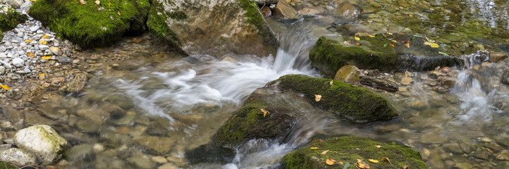 Flu&szlig; Rottach, Gebirgsbach, Rottach-Egern, Mangfallgebirge, Oberbayern, Bayern, Deutschland