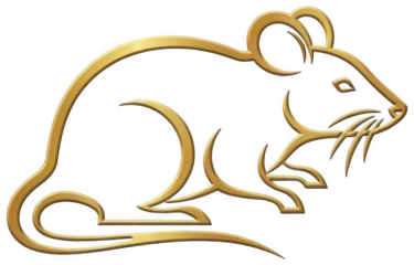 Golden Mouse png Rat cutout Bronze Rodent png Metallic Animal cutout Luxury Vermin png Elegant Pest cutout Shiny Creature png Regal Rodentia cutout