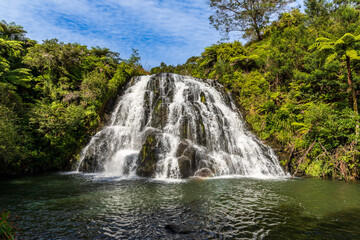 Fototapeta premium Owharoa Falls in Waikato, New Zealand