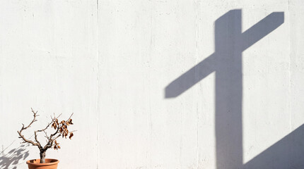 Shadow of Christian cross cast on white wall next to withered potted plant. Minimalist religious concept of Lent, faith and resurrection. Symbol of hope and spiritual dryness.