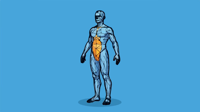 Geometric human form, blue, orange abdomen, standing, isolated