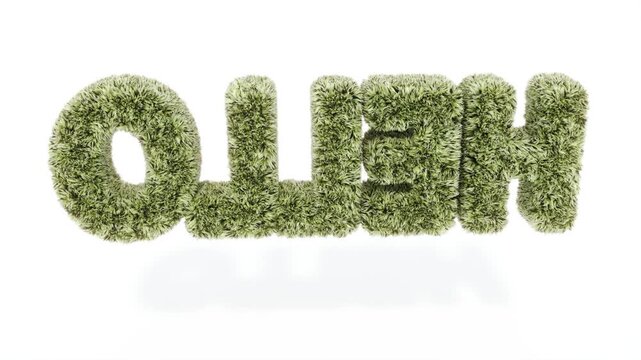 Grass text HELLO on white bg able to loop endless 4k