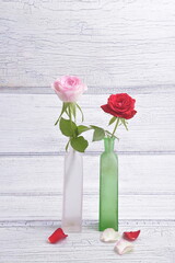 Valentines day card. Red and pink rose in vase.