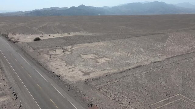 Nasca Lines (tree) with viewing platform and the Panamericana road, Peru, Aerial