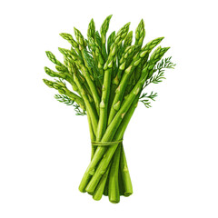 Fototapeta premium A vibrant bunch of fresh green asparagus spears tied together on a black background