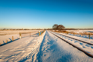 Dutch rural landscape in winter. Rusty railway tracks, seemingly endless, protrude above the snow.