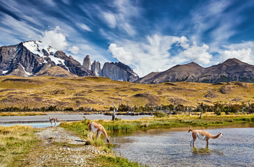Torres del Paine National Park, Patagonia, Chile