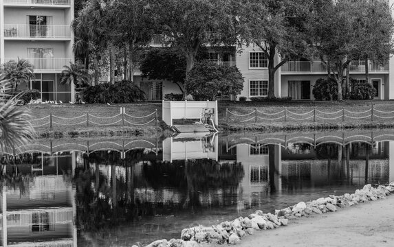 Condo reflection in lake, black and white