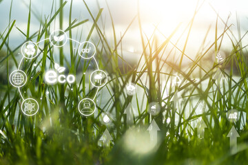 Eco-friendly concept with green grass and environmental icons representing sustainability, renewable energy, nature conservation, ideal for eco-related campaigns.