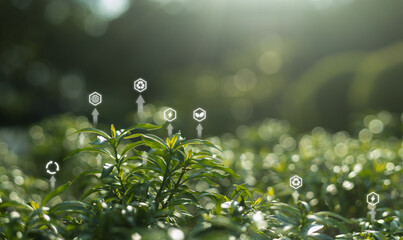 Green plants with environmental icons representing eco-friendly concepts, renewable energy, sustainability. Perfect for green technology, CSR ecological awareness campaigns.