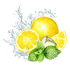 Fresh citrus Lemon, mint leaves, Ice cubes and splash of crystal water. Hand painted watercolor illustration isolated on white background