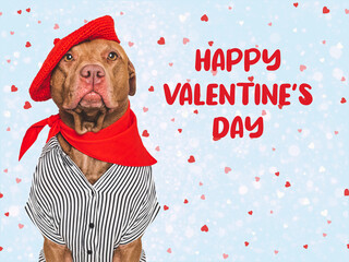 Happy Valentine's Day. Cute dog and congratulatory inscription