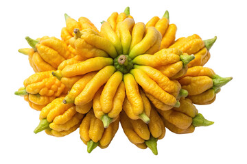 Vibrant yellow buddha's hand citrus fruit, fresh and exotic