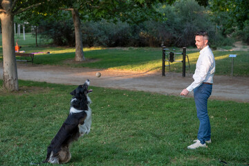 Man playing fetch with border collie dog in park