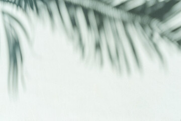 Blurred shadow of tropical palm leaves on gray wall background. Summer concept.