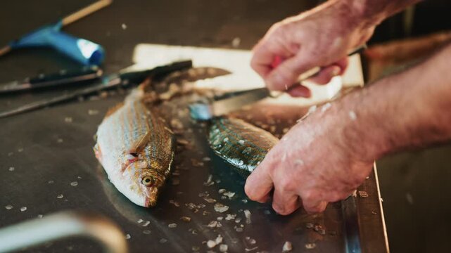 Hands scaling a small fish on a stainless-steel work surface with knives and tools visible