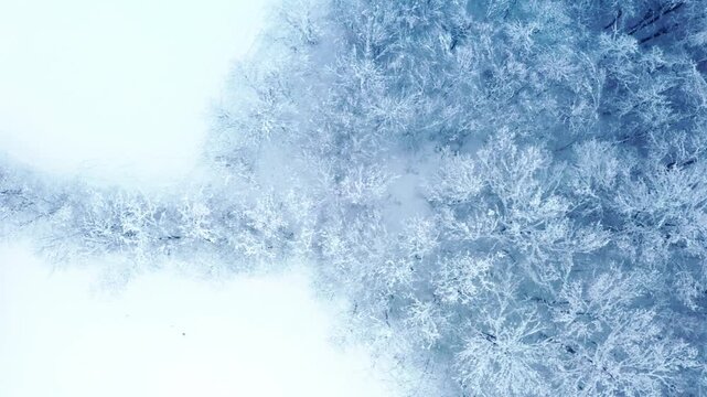 Aerial View of Snow Covered Forest in Bosnia and Herzegovina During Winter