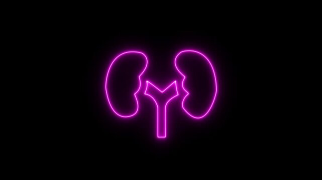 Abstract glowing neon Kidneys icon animation with dark background.Futuristic glowing neon Kidneys icon with smooth animated