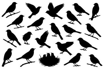 set of birds,
Bird Silhouettes Collection, Vector Wildlife Designs