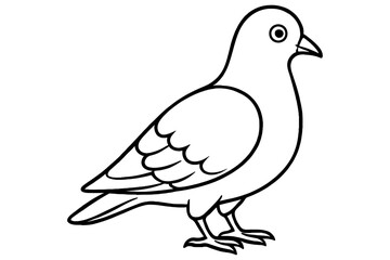 vector illustration of a pigeon,
Pigeon Coloring Book, Bird Outline Pages