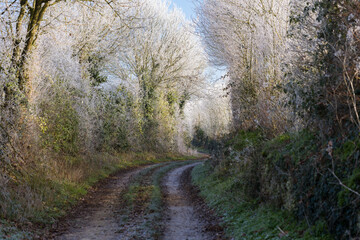 paysage givr&eacute;