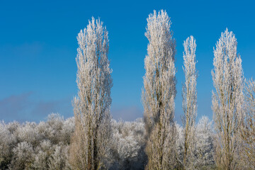 paysage givr&eacute;