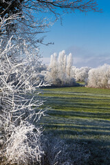 paysage givr&eacute;