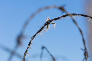 grillage givr&eacute;