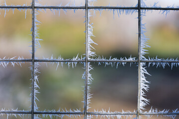 grillage givr&eacute;