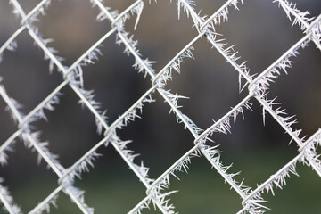 grillage givr&eacute;