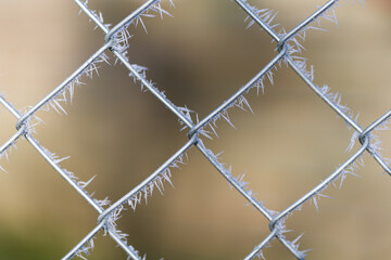 grillage givr&eacute;