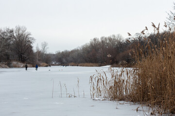 winter landscape with snow