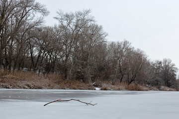 winter landscape with snow